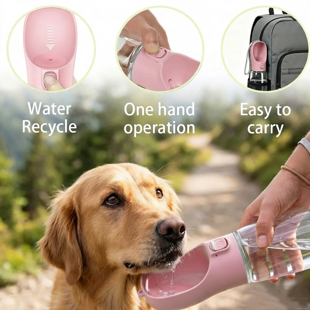 Pawlune Bottle