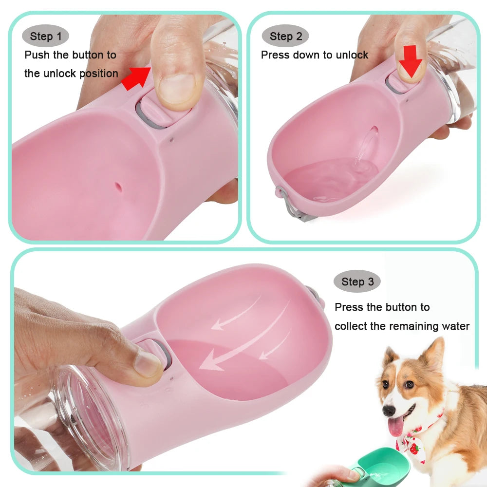 Pawlune Bottle