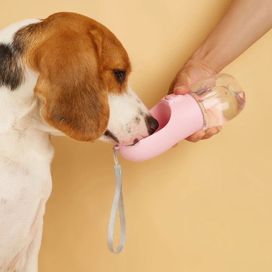 Dog drinking from the Pawlune Bottle